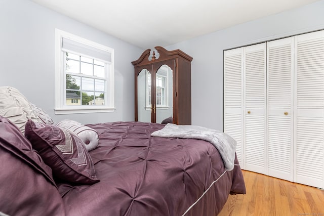 100 Chestnut Rd, Newington, CT 06111 - bedroom with light wood finished floors and a closet