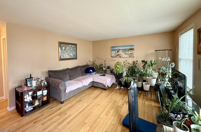 175 Berlin Ave Apt 31, Southington, CT 06489 - living room with hardwood / wood-style flooring and a textured ceiling