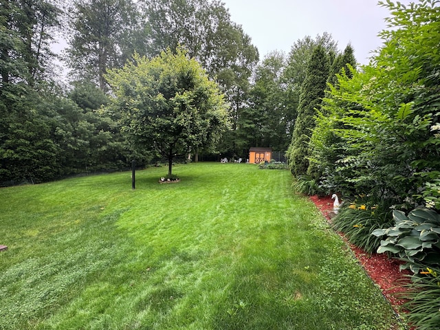 168 Cooper Ln, Hamden, CT 06514 - view of green lawn featuring a shed
