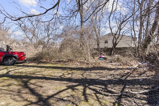 122 Derby Ave, New Haven, CT 06511 - view of yard