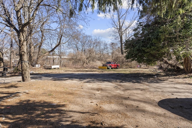122 Derby Ave, New Haven, CT 06511 - view of yard