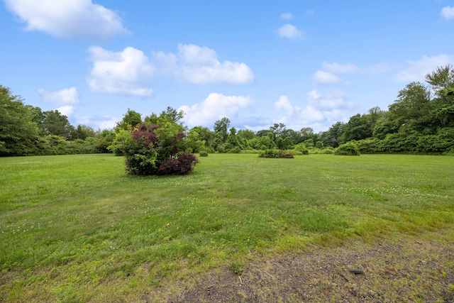 126 Penfield Hill Rd, Portland, CT 06480 - photo 35