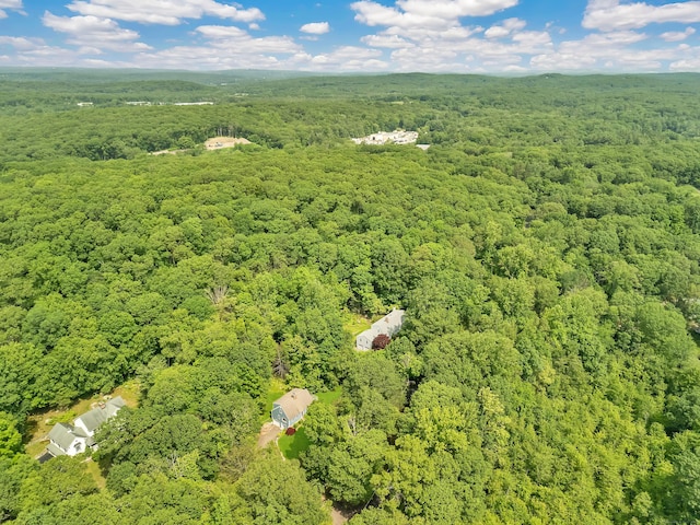 431 Fan Hill Rd, Monroe, CT 06468 - aerial view of a heavily wooded area