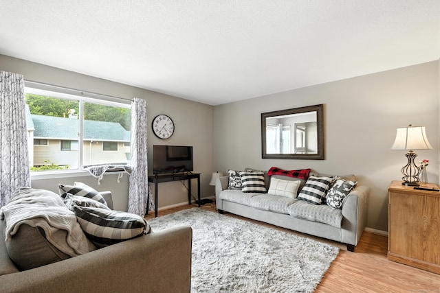 222 Sunrise Hill Rd Unit 222, Norwalk, CT 06851 - living area featuring light wood-style floors and baseboards