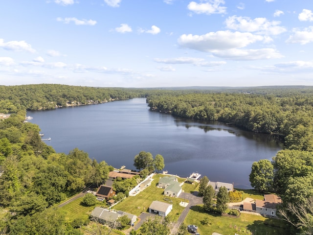 538 Quaddick Rd, Thompson, CT 06277 - drone / aerial view of a forest and a large body of water