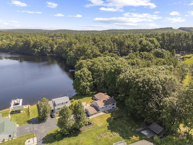 538 Quaddick Rd, Thompson, CT 06277 - aerial view of property and surrounding area featuring a heavily wooded area and a large body of water