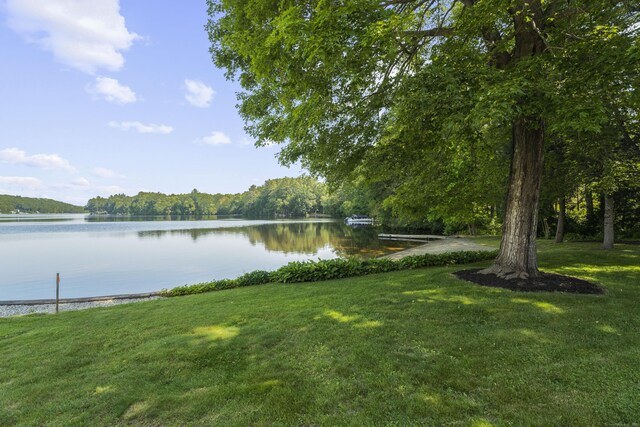 538 Quaddick Rd, Thompson, CT 06277 - water view with a heavily wooded area