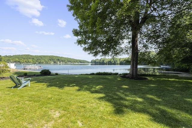 538 Quaddick Rd, Thompson, CT 06277 - view of grassy yard featuring a water view and a wooded view
