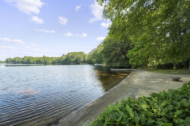 538 Quaddick Rd, Thompson, CT 06277 - water view featuring a forest