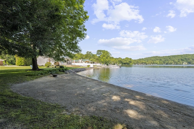 538 Quaddick Rd, Thompson, CT 06277 - water view featuring a heavily wooded area