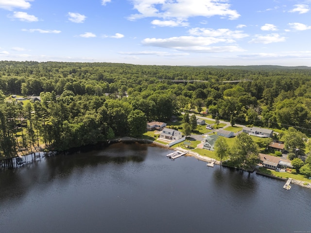 538 Quaddick Rd, Thompson, CT 06277 - drone / aerial view of a forest and a large body of water