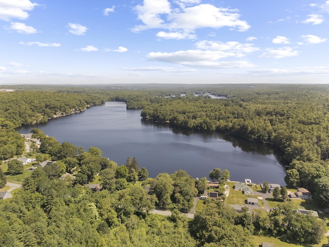 538 Quaddick Rd, Thompson, CT 06277 - aerial view of a forest and a nearby body of water