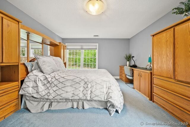 420 Winding Rdg, Southington, CT 06489 - photo 27