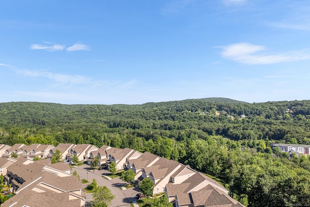 45 Winding Ridge Way Unit 45, Danbury, CT 06810 - photo 38