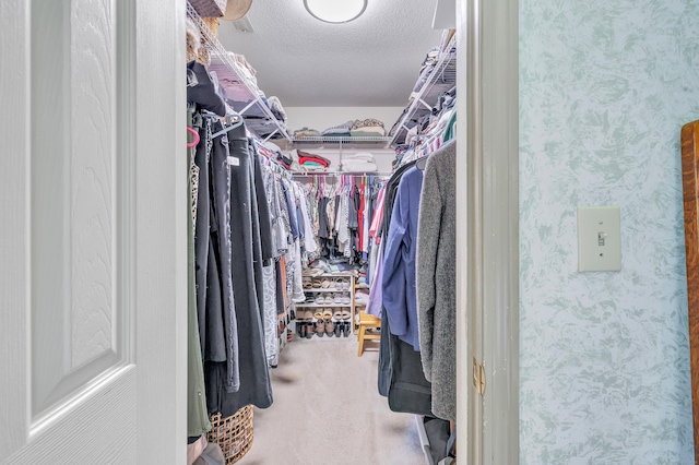 56 Stagecoach Cir, Milford, CT 06460 - spacious closet with carpet