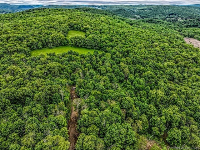 430 Long Mountain Rd Lot 3, New Milford, CT 06776