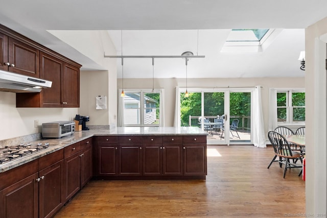 141 Cannon St, Hamden, CT 06518 - kitchen featuring under cabinet range hood, a skylight, stainless steel gas cooktop, light wood-style floors, and dark brown cabinets