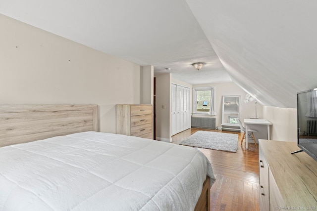141 Cannon St, Hamden, CT 06518 - bedroom featuring radiator, wood-type flooring, vaulted ceiling, and a closet