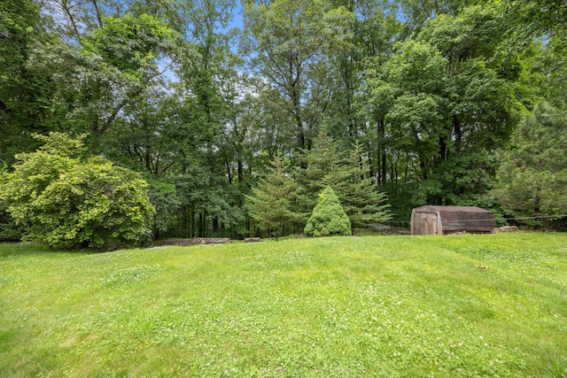 291 Guinevere Rdg, Cheshire, CT 06410 - view of green lawn with a storage unit