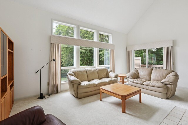 17 Brittania Dr Unit 17, Danbury, CT 06811 - living area featuring light carpet, plenty of natural light, and high vaulted ceiling
