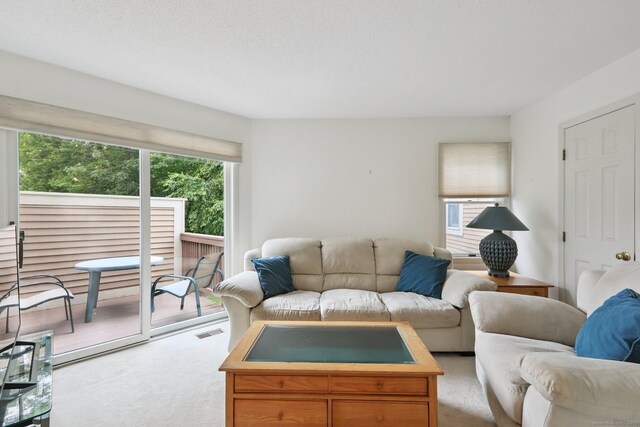 17 Brittania Dr Unit 17, Danbury, CT 06811 - living room with carpet