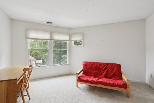 17 Brittania Dr Unit 17, Danbury, CT 06811 - living area with plenty of natural light and carpet