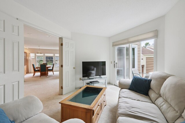 17 Brittania Dr Unit 17, Danbury, CT 06811 - living room featuring light colored carpet