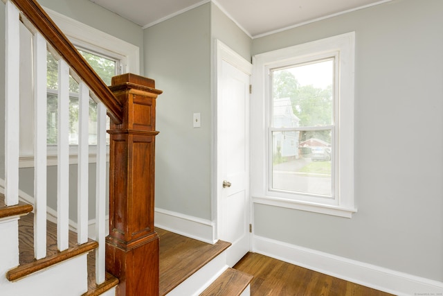 49 Olmsted St, East Hartford, CT 06108 - stairway with wood finished floors and crown molding