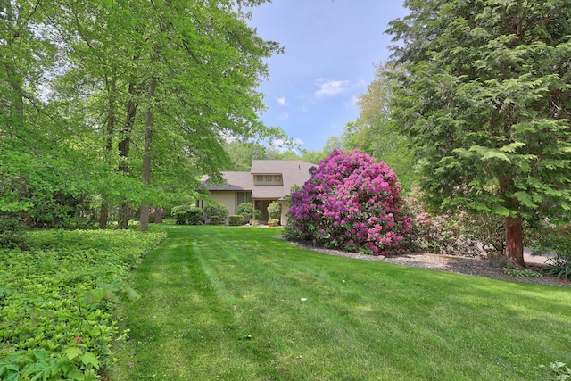 9 Woodland Ter, Prospect, CT 06712 - photo 38