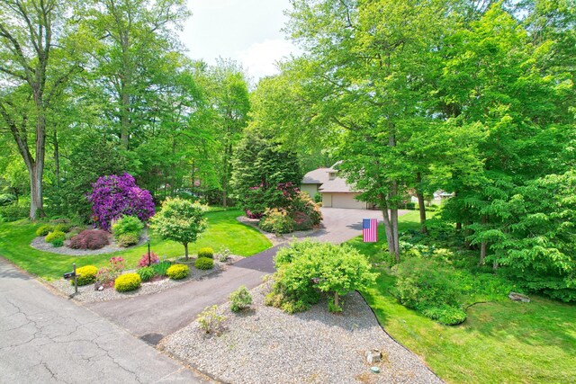 9 Woodland Ter, Prospect, CT 06712 - photo 39