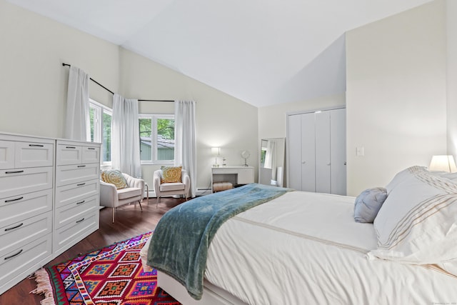 12 Byrne Ct Unit D, Farmington, CT 06032 - bedroom with lofted ceiling, dark wood-style floors, and a baseboard heating unit