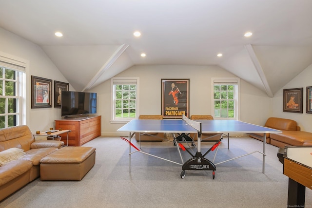 39 Louises Ln, New Canaan, CT 06840 - photo 27