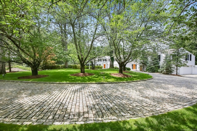 39 Louises Ln, New Canaan, CT 06840 - photo 7