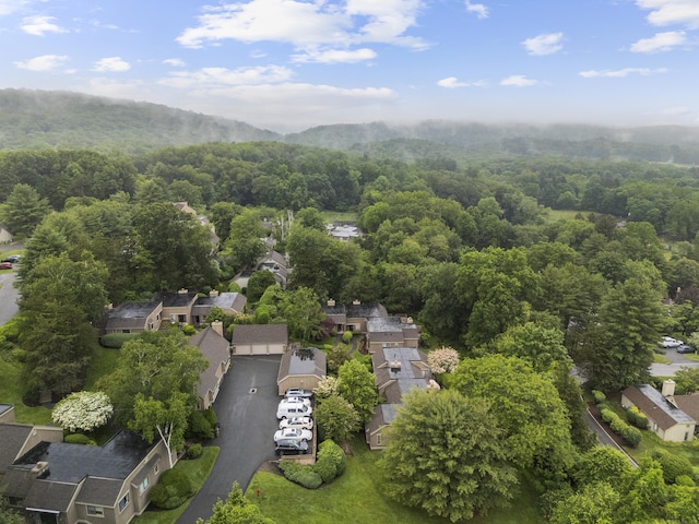 21 Heritage Cir Unit A, Southbury, CT 06488 - aerial view of residential area featuring a forest