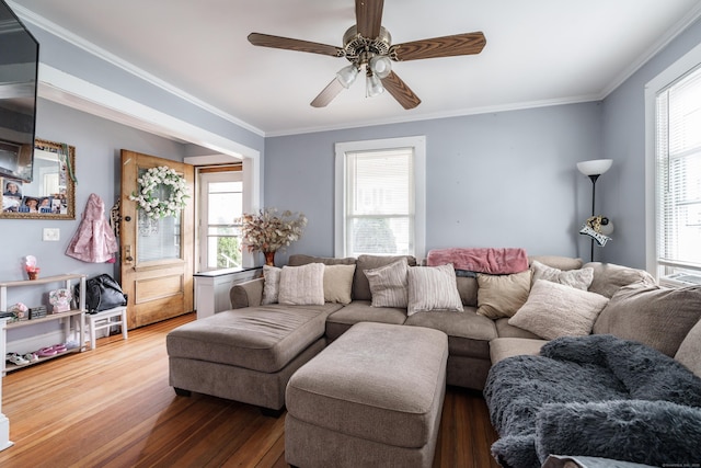 21 Bigelow Ave, Enfield, CT 06082 - living area featuring wood finished floors, healthy amount of natural light, a ceiling fan, and ornamental molding