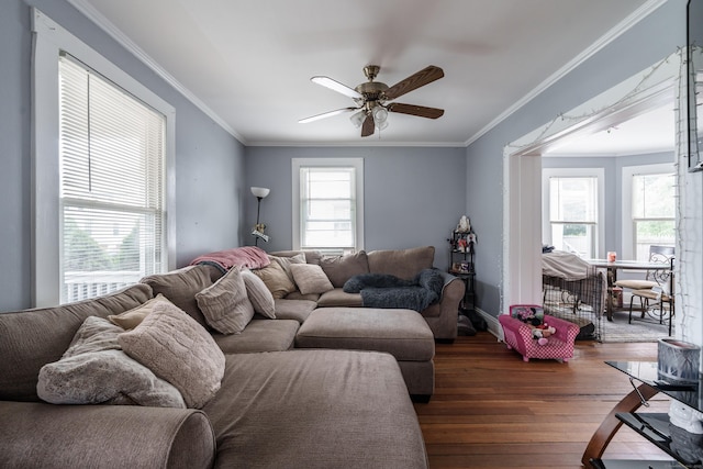 21 Bigelow Ave, Enfield, CT 06082 - living room featuring dark wood-style floors, ceiling fan, and ornamental molding