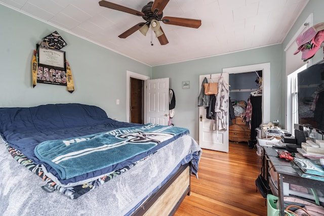 21 Bigelow Ave, Enfield, CT 06082 - bedroom with crown molding, light wood finished floors, a spacious closet, a closet, and a ceiling fan