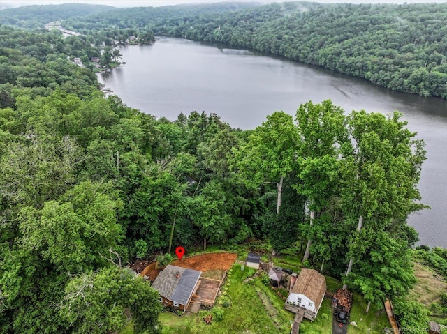 69 Forest Dr, Newtown, CT 06482 - aerial overview of property's location with a forest and a nearby body of water