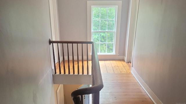 39 Windham Center Rd, Windham, CT 06280 - hallway with hardwood / wood-style flooring, an upstairs landing, and plenty of natural light