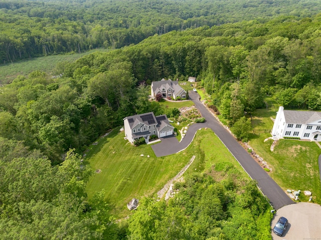 13 Spruce Ridge Dr, New Fairfield, CT 06812 - drone / aerial view of a heavily wooded area