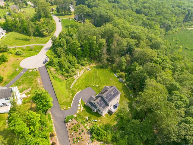 13 Spruce Ridge Dr, New Fairfield, CT 06812 - drone / aerial view of a heavily wooded area