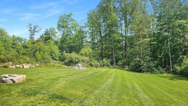 13 Spruce Ridge Dr, New Fairfield, CT 06812 - view of green lawn