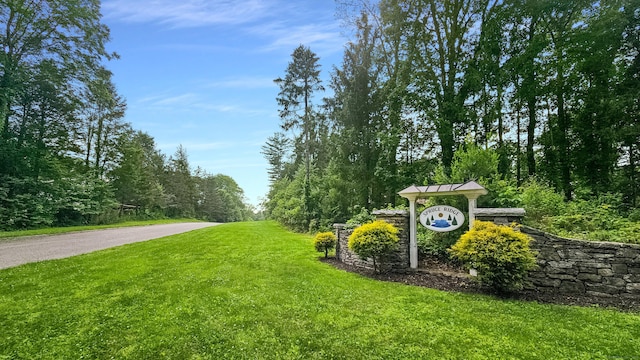 13 Spruce Ridge Dr, New Fairfield, CT 06812 - view of grassy yard