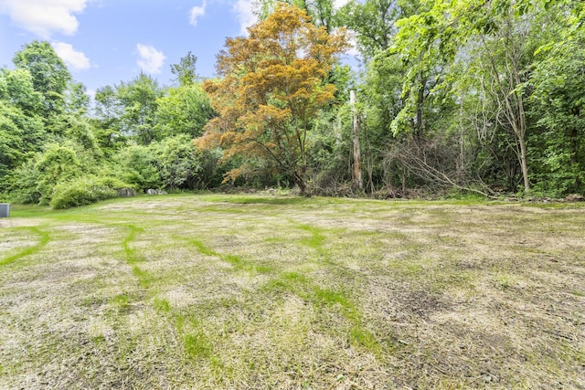 14 Pine Tree Ln, Avon, CT 06001 - view of yard