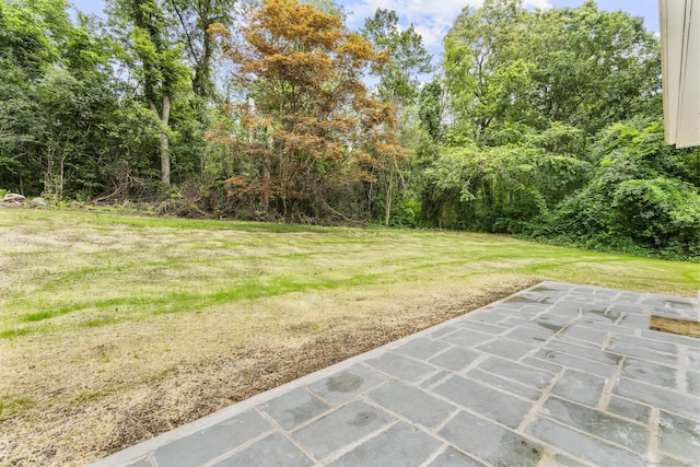 14 Pine Tree Ln, Avon, CT 06001 - view of grassy yard with a patio area