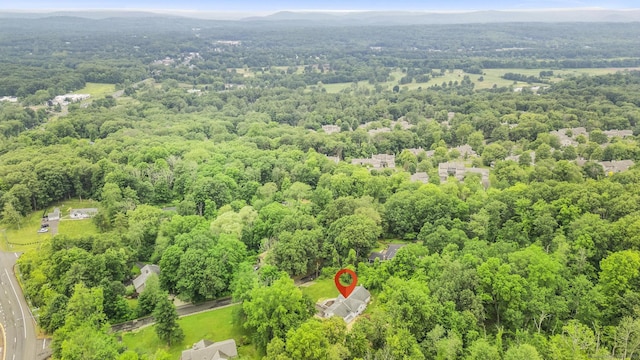 14 Pine Tree Ln, Avon, CT 06001 - drone / aerial view of a heavily wooded area