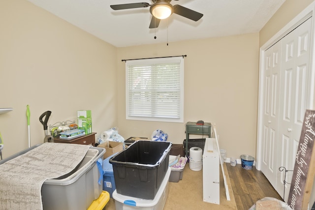 6 Weymouth Dr, Enfield, CT 06082 - bedroom with a closet, wood finished floors, and a ceiling fan