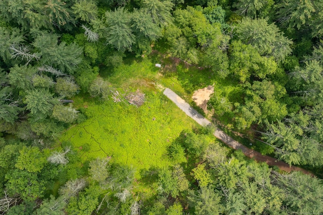 50 Popple Swamp Rd, Cornwall, CT 06754