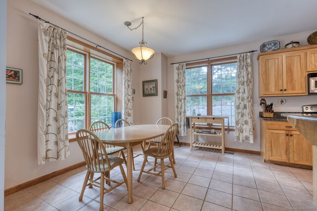 1047 Merrow Rd, Coventry, CT 06238 - dining area featuring plenty of natural light and light tile patterned floors