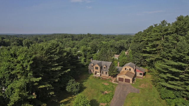 317 Turnpike Rd, Somers, CT 06071 - view of subject property with a forest